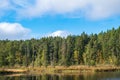 Forest lake by a bog with autumn colors Royalty Free Stock Photo