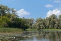 A forest lake on a clear day with a blue sky. Green thickets of reeds float on the water. reflection of trees and sky in the water Royalty Free Stock Photo