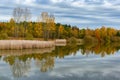 Forest lake in cloudy, autumn weather. Late fall. Europe Royalty Free Stock Photo