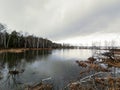 Forest Lake cloudy rain