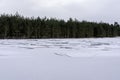 The forest lake is covered with snow-covered broken ice. Layers of cracked ice on a body of water. Early spring in a coniferous