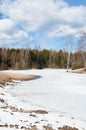 Forest lake early spring Royalty Free Stock Photo