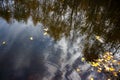 Reflection of trees in a forest lake with floating on the surface of fallen, yellow foliage. Royalty Free Stock Photo