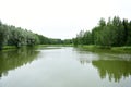 The forest lake is hidden in the depths of the forest thicket. The lake is small, the bottom is sandy. Surrounded by majestic