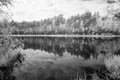 forest lake in hot summer day. infrared image Royalty Free Stock Photo