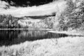 forest lake in hot summer day. infrared image Royalty Free Stock Photo