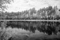 forest lake in hot summer day. infrared image Royalty Free Stock Photo