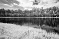 forest lake in hot summer day. infrared image Royalty Free Stock Photo