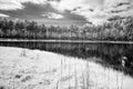 forest lake in hot summer day. infrared image Royalty Free Stock Photo