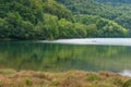 Forest lake landscape with green trees and swamp wetlands Royalty Free Stock Photo