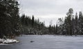 The forest lake in the late autumn. Royalty Free Stock Photo