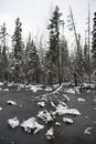 The forest lake in the late autumn. Royalty Free Stock Photo