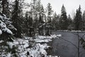 The forest lake in the late autumn. Royalty Free Stock Photo