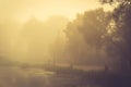 Forest and lake, misty morning