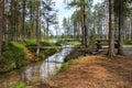 Forest lake and narrow creek