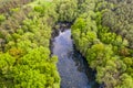 A forest lake nestled in a deciduous forest in spring