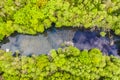 A forest lake nestled in a deciduous forest in spring