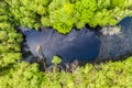 A forest lake nestled in a deciduous forest in spring