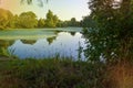 Forest lake overgrown with duckweed. Trees and grass along the shores of the lake. Royalty Free Stock Photo