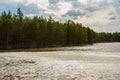 A forest lake partially covered by melting ice with a shoreline of pine trees and old dry grass under a gloomy cloudy sky. Nature Royalty Free Stock Photo