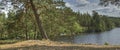 Forest lake with pines in HDR. Royalty Free Stock Photo