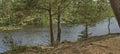 Forest lake with pines in HDR. Royalty Free Stock Photo