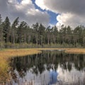 Forest lake with pines in HDR Royalty Free Stock Photo