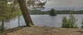 Forest lake with pines in HDR. Royalty Free Stock Photo