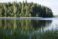 Forest lake, reeds, water reflections