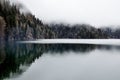 Forest lake reflection with fog in Rica, national park Abkhazia Royalty Free Stock Photo