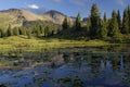 Forest lake in Rocky Mountains Royalty Free Stock Photo
