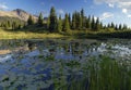 Forest lake in Rocky Mountains Royalty Free Stock Photo