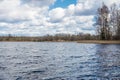 Forest lake shore with trees and bushes in sunny day. Forest lake trees view. Forest lake shore panorama Royalty Free Stock Photo