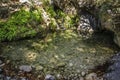 a forest lake with a small waterfall is consecrated by the day sun,