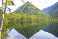 Forest lake smooth as a mirror of water.