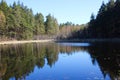 Forest lake on a sunny summer day. Calm calm weather. Royalty Free Stock Photo