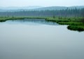 Forest on the lake. trees reflected in the water.Misty morning on the lake. early summer morning. drizzling rain. Royalty Free Stock Photo