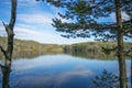 Forest lake under blue cloudy sky Royalty Free Stock Photo