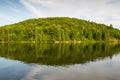 Forest lake under blue cloudy sky