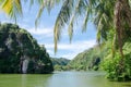 Forest lake under blue cloudy sky Royalty Free Stock Photo