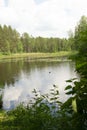 Forest lake under blue cloudy sky, landscape in Belarus Royalty Free Stock Photo