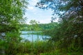 A forest lake under a blue cloudy sky Royalty Free Stock Photo