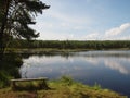 Forest lake with a wooden bench on the coast. Royalty Free Stock Photo