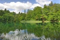 Forest and lakes