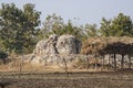 Forest Land Encroachment and Fossils Destruction