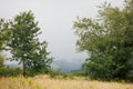 Forest landscape in Aveyron France