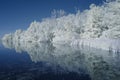 Infrared lake landscape in blue tones Royalty Free Stock Photo