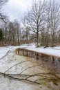 Forest landscape with bare trees and peat river Royalty Free Stock Photo