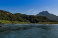 Forest landscape at the Biobio River, Chile