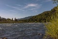 Forest landscape at the Biobio River, Chile